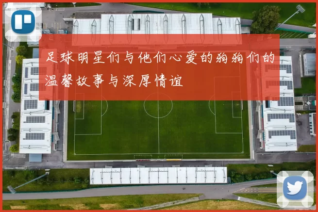 足球明星们与他们心爱的狗狗们的温馨故事与深厚情谊