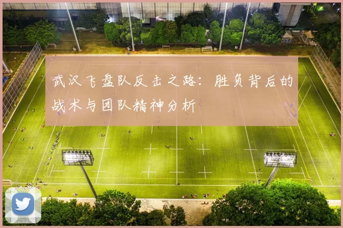 武汉飞盘队反击之路：胜负背后的战术与团队精神分析