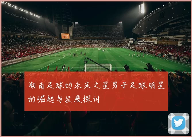 潮南足球的未来之星男子足球明星的崛起与发展探讨