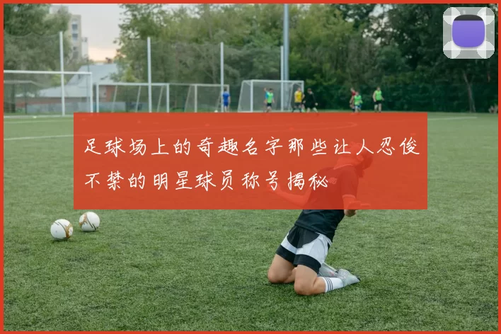 足球场上的奇趣名字那些让人忍俊不禁的明星球员称号揭秘