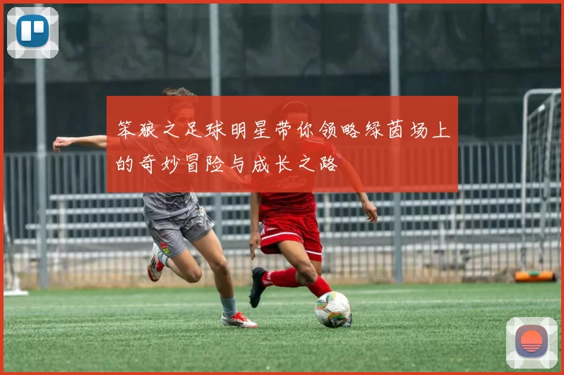 笨狼之足球明星带你领略绿茵场上的奇妙冒险与成长之路