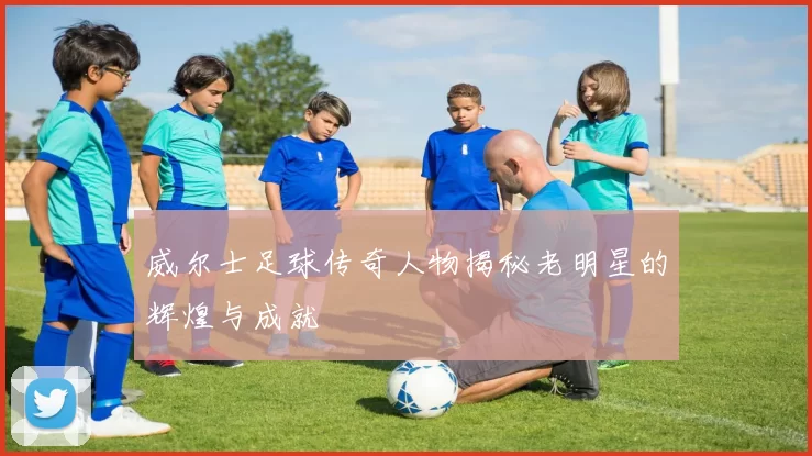 威尔士足球传奇人物揭秘老明星的辉煌与成就