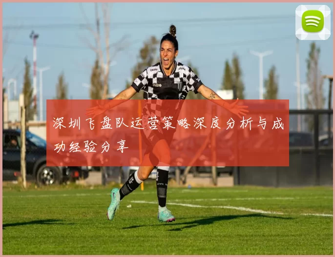 深圳飞盘队运营策略深度分析与成功经验分享