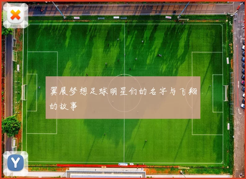 翼展梦想足球明星们的名字与飞翔的故事