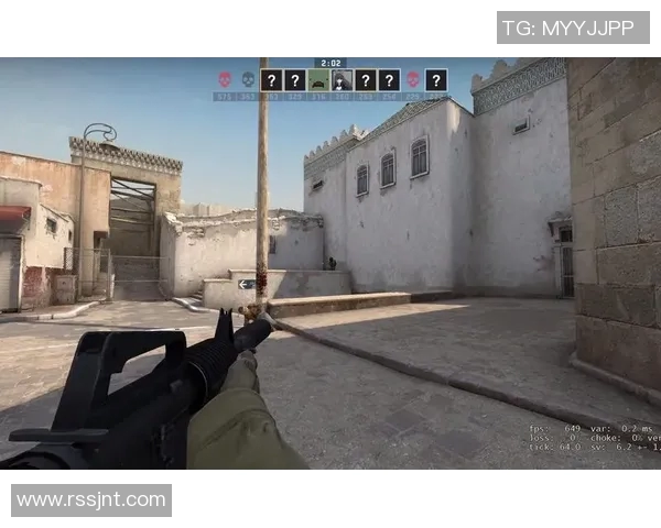 张丽独家揭秘CSGO游戏技巧与心得分享助你提升竞技水平