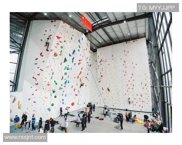 西安攀岩队在攀岩心理素质排行榜中荣获第九名的佳绩分析